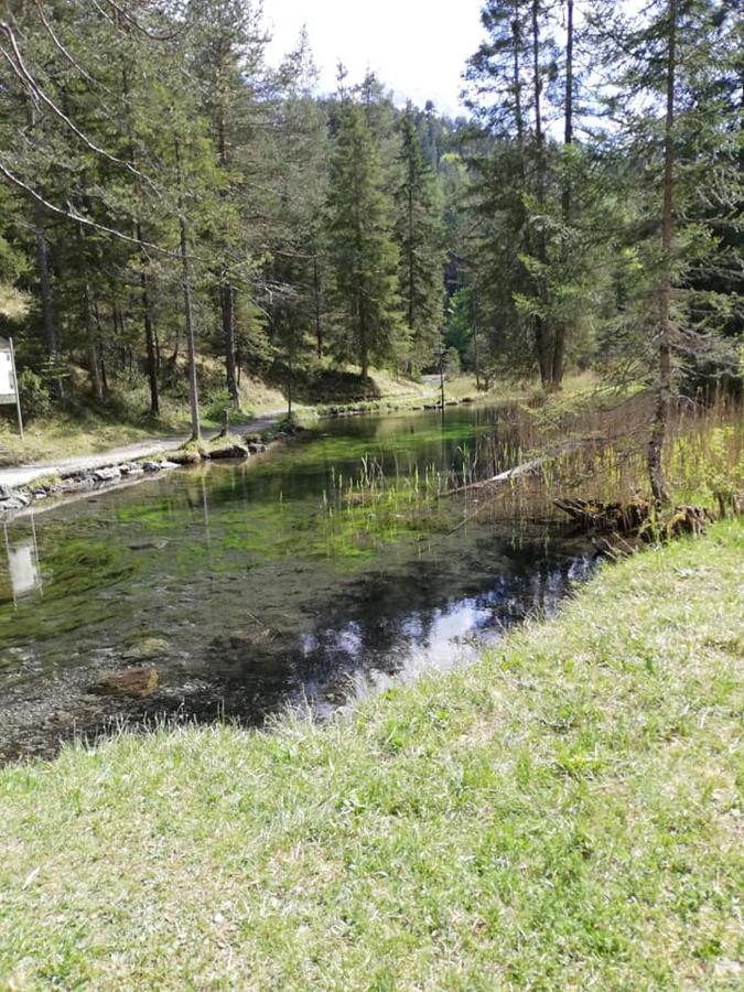 Pension Garni Hochmoos Lermoos Exterior foto